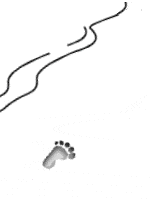 footprints-ani.gif