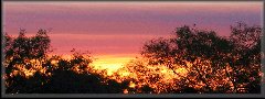 sunset.jpg